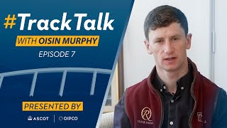 What is on and off the bridle in horse racing - TrackTalk presented by Ascot and QIPCO