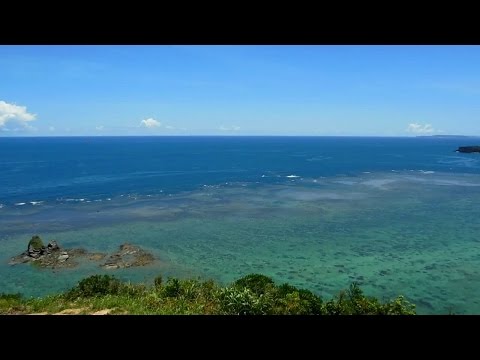 Cocco　『 ジュゴンの見える丘 』④ ( 最新YouTubeｱﾌﾟﾘ 歌詞　有ります )