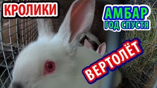 про село - АМБАР ГОД СПУСТЯ / ВЕРТОЛЁТ / Кролик пропал / Мясо / лпх / КФХ