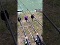 CARPFISHING Runnnnnn!! AVVISATORE A RAZZO