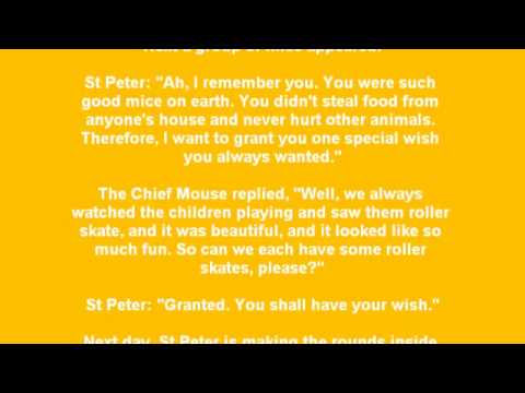 cat-in-heaven-joke