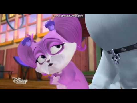 Puppy Dog Pals Stomach Growl