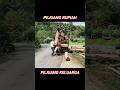 kayu jati