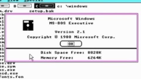 Windows 3.0 build 14