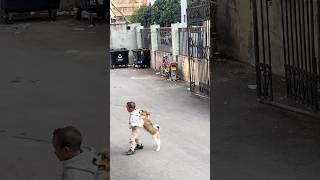 Just a little boy and his furry best friend 🥹❤️