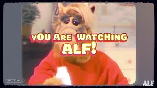 Alf Channel  well Be Right Back Ad Slate 2025