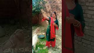 Kahe Bakari Charawal Chhod Dihalu