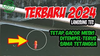 UMPAN JITU MANCING IKAN MAS TERBARU 2024 || LANGSUNG TES || TETEP GACOR MESKI DITEMPEL TETANGGA