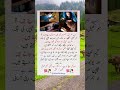 "Mobile Addiction in Kids is Destroying Lives 😢 | Must Watch for Parents!"