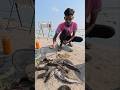 Catfish Bait Throw In river part! #fishing #fishingbait
