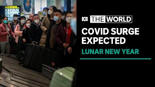 Millions of Chinese citizens “cautiously” celebrating Lunar New Year as Covid curbs ease | The World