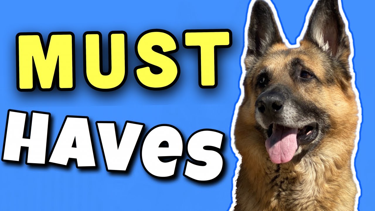 The BEST thing you should buy your dogs | The must have shopping list