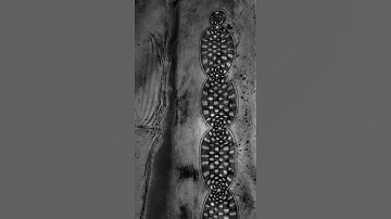 Distorted Checkerboard 6 - Photos 8-16-2022 • 7-11AM • 8 Miles