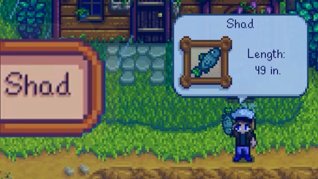 Shad stardew