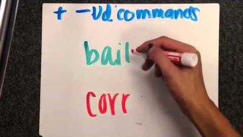 Negative Tu Commands and Positive and Negative Ud. and Uds. Commands