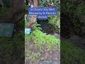 The Holy Well that protected emigrants?