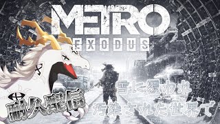 【耐久配信】年末は耐久で〆！『 #metroexodus  』やっていきます！【白流といち】