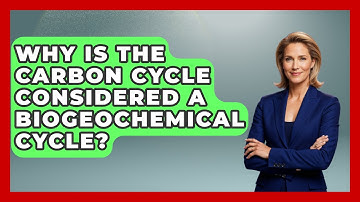 Why Is the Carbon Cycle Considered a Biogeochemical Cycle? | Explaining Ecology News