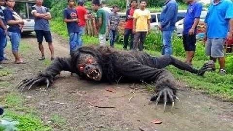 Explorer Captured What No One Was Supposed To See!