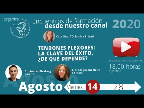 Vídeo: La Utilidad Del Protocolo Isométrico Para Los Flexores Y Extensores Del Pie En La Evaluación De Los Efectos Del Régimen De Rehabilitación De 16 Semanas En Pacientes Con Accidente C