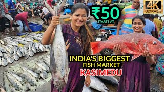 Chennai fish market💥 vera ragam🤯 |India biggest fishmarket #kasimedu