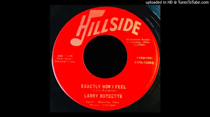 Larry Burdette - Exactly How I Feel - Hillside 45 ...