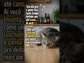 A lógica da preguiça 🛌 #humor #meme