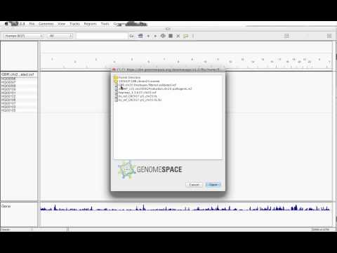 Visualizing coding variants in IGV