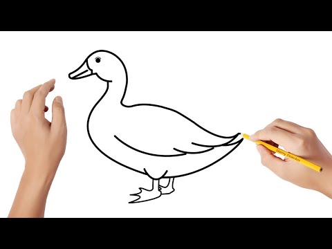 Como desenhar um pato