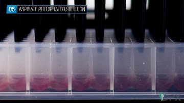 Automated Protein Precipitation for Whole Blood
