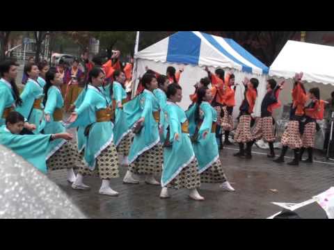 四季舞 第12回 四日市よさこい祭り ～やったろ舞～ 市民公園会場