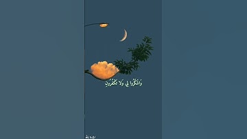 فَاذْكُرُونِي أَذْكُرْكُمْ وَاشْكُرُوا لِي وَلا تَكْفُرُونِ || القارئ اسلام صبحي ||