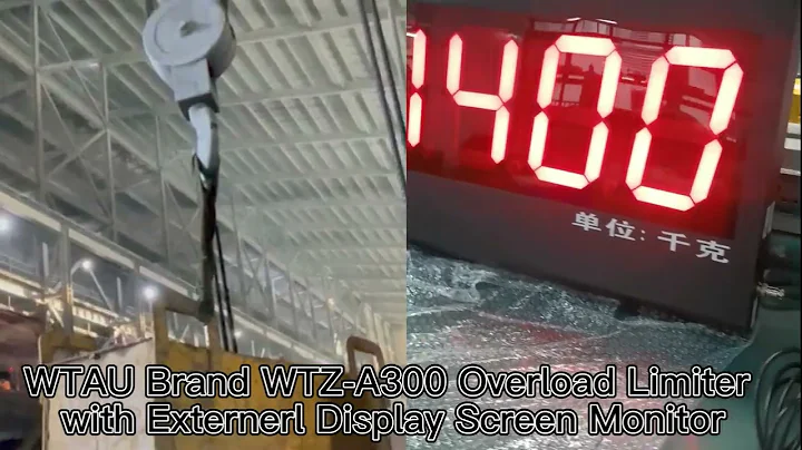 WTAU brand WTZ-A300 overload limiter system for EOT crane overload protection