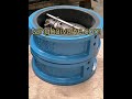 Double-door Check Valve in Different  Color from Tianjin Tanghai Valve.