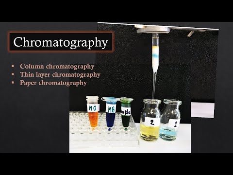 การทดลองเรื่องโครมาโตกราฟี (Chromatography)