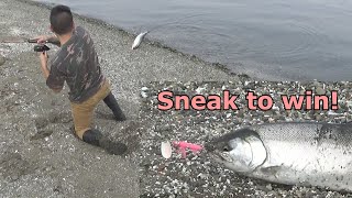 Sneaky Shore Casting Coho (Deep South Puget Sound)