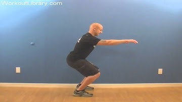 How to Squat - Workout Library - Exercise Video Library