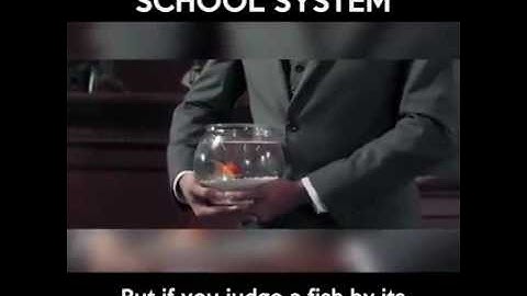 Albert Einstein once said, everybody is genius. Judge a fish by its ability to climb a tree. School