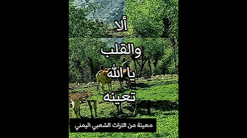معينة من التراث الشعبي اليمني 