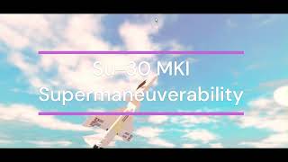 Su 30 MKI || Supermaneuverability (Plane crazy)