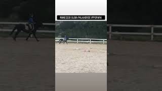 Cavalli, Equitazione,Piccoli Salti In Maneggio