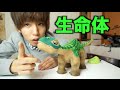 生きる恐竜ロボット PLEO