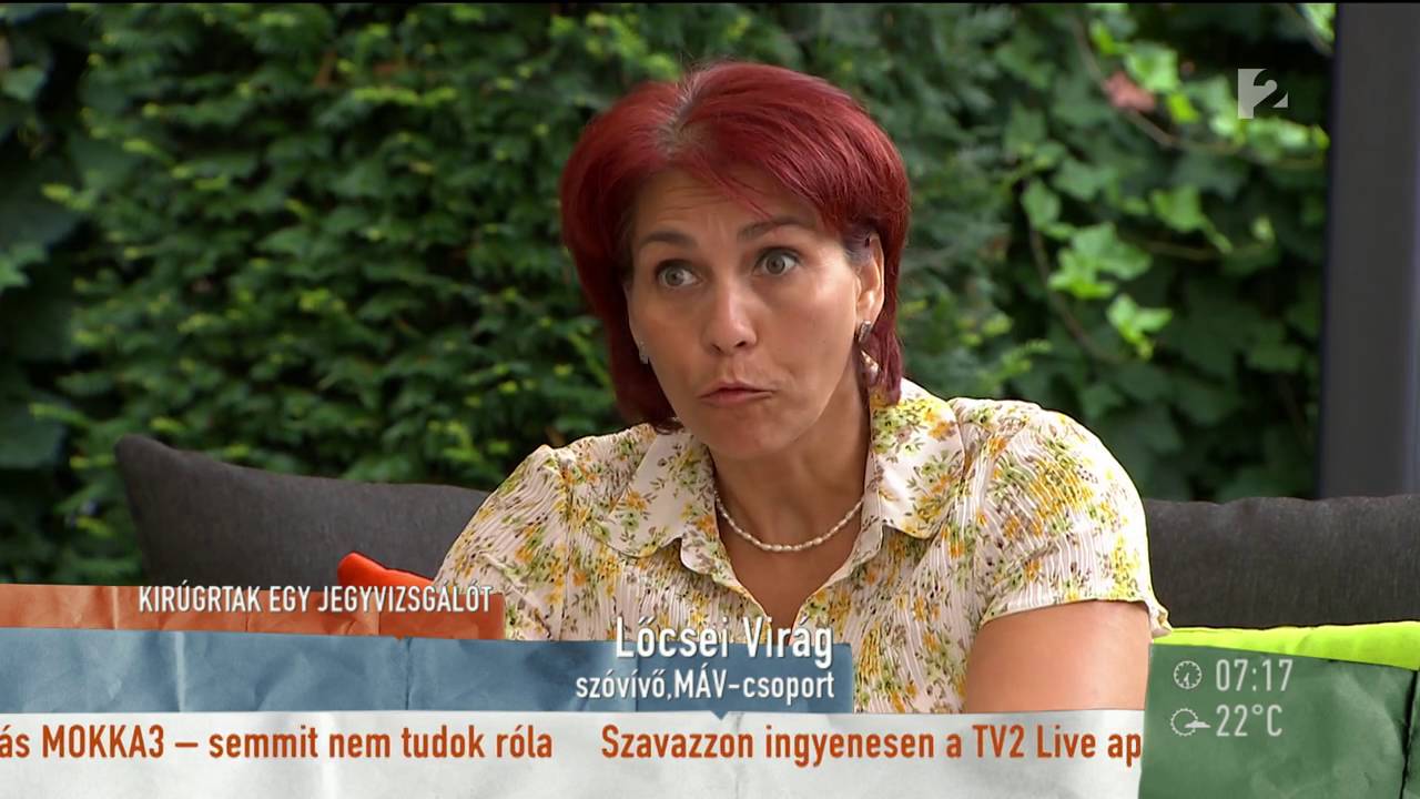 MÁV: az elbocsátott jegyellenőr egyedül is elindíthatta volna a vonatot - tv2.hu/mokka