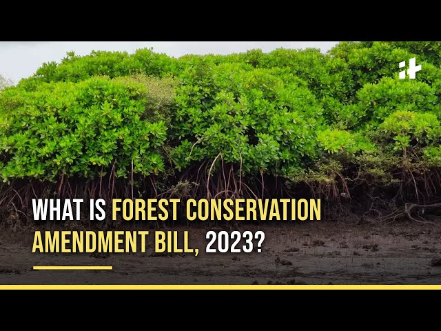 Survey on the Forest (Conservation) Amendment Bill, 2023 [Expired] – Vidhi  Centre for Legal Policy