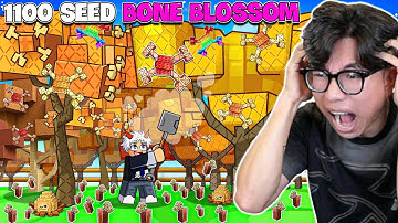 BI HUỲNH KHÁM PHÁ LỖI BUG SỞ HỮU 1100 CÂY BONE BLOSSOM TOP 1 GROW A GARDEN