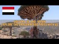 Socotra tour in 4K. Paradise island off the coast of Yemen.