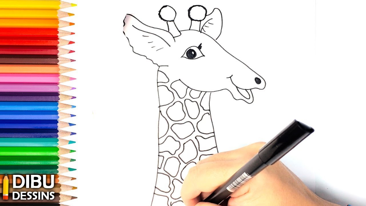 Dessinne Une Girafe Comment Dessiner Une Girafe Papier Peint