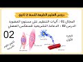 الدرس 02 الدعامة التشريحية للمنعكس العضلي الجزء الأول 2 ع ت