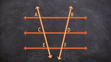 What are porportional parts of parallel lines