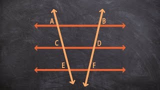 What are porportional parts of parallel lines